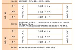  如何制定适合中锋的个性化训练计划：专业指南与实战策略